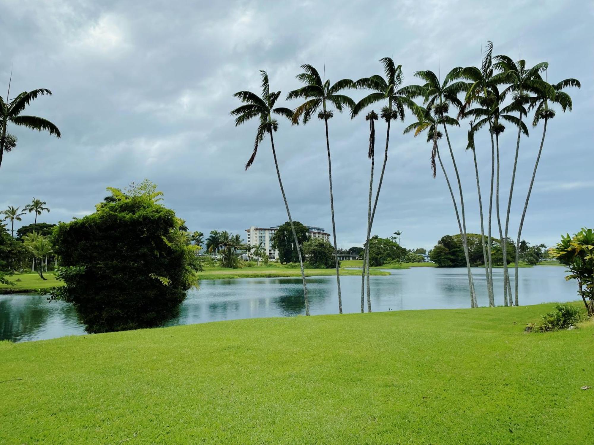 In Center With Pool And Views * Hilo
